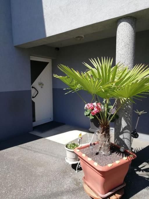 Appartement Agreable Haguenau Bagian luar foto