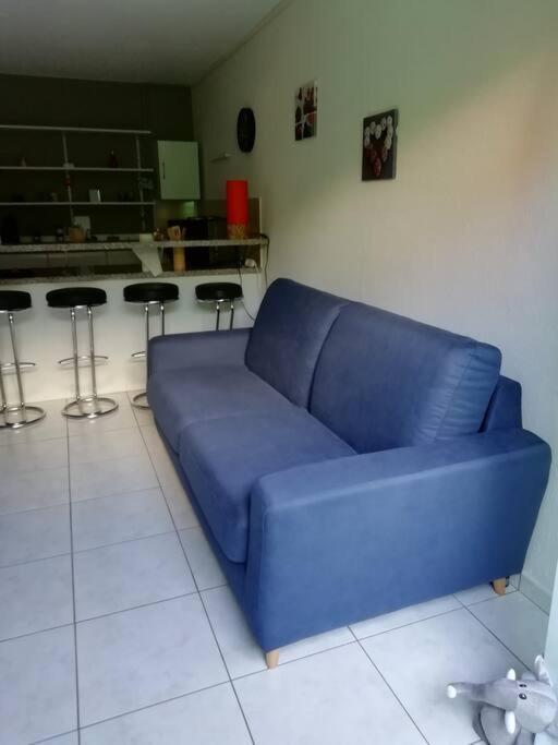 Appartement Agreable Haguenau Bagian luar foto